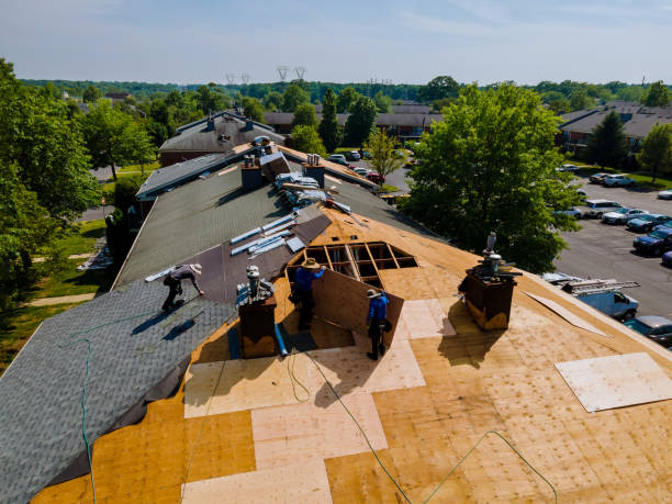 Best Commercial Roofing Services  in Ada, MN