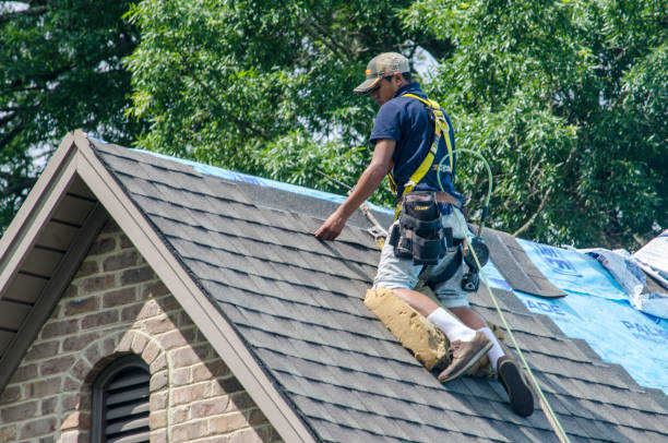 Best Roof Repair Services  in Ada, MN